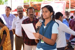 food-festival-2